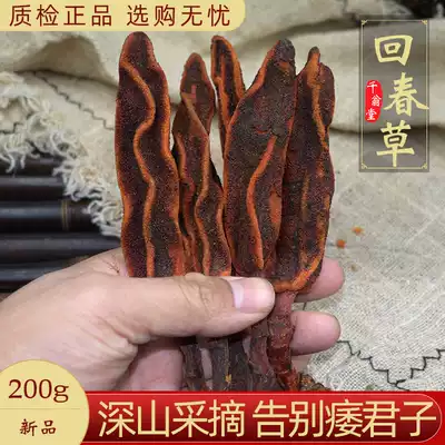 Rejuvenating grass Wild evergreen grass Yunnan Chinese herbal medicine 200g Dingtianzhu deep mountain picking stone wild wild 500g soaked wine