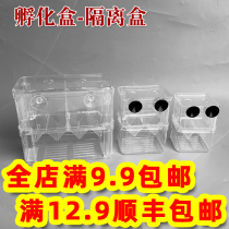 Guppy breeding box Fish tank Non-acrylic sea water isolation box King size spawning hatching delivery room Small fry