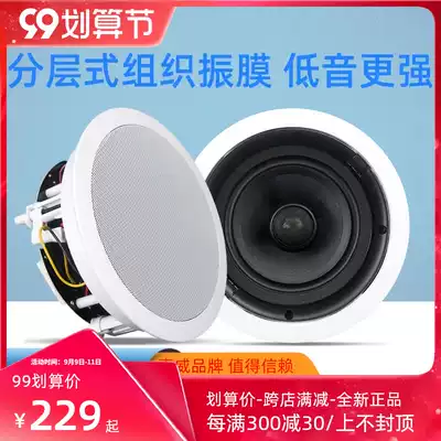 Hivi whiwei VR6-C ceiling Horn set home theater audio home embedded background music speaker