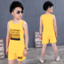 Boys bộ vest 2019 mới mùa hè váy vừa boys boys quần short cotton trẻ em dành cho trẻ em của hai mảnh mỏng. 