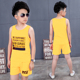 Boys bộ vest 2019 mới mùa hè váy vừa boys boys quần short cotton trẻ em dành cho trẻ em của hai mảnh mỏng.