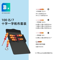 Тип B 100IS/7 Canvas Bag SAG 7 -PEECK SET 05136022001