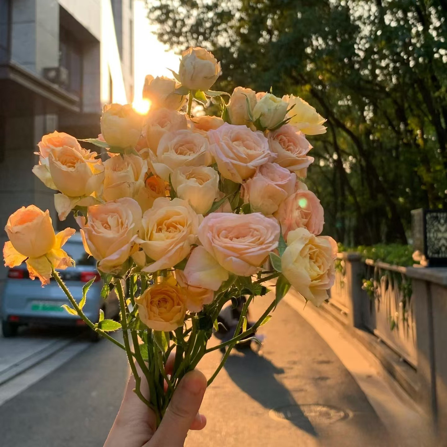 花洋仿真绿植店