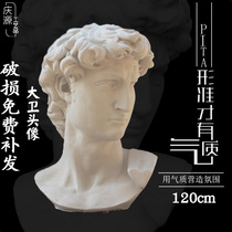 1 2 m David head fine art teaching aid sketch David plaster statue like head portrait great fine art teaching aids human head sculptures