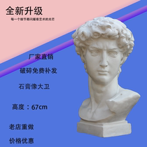 David plaster head art teaching aids sketch large character model portrait still life sculpture decorative ornament statue