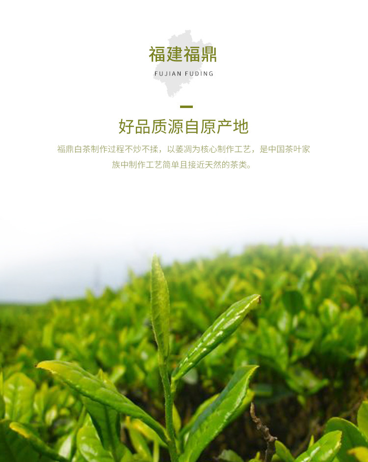 叶铺 福鼎白茶 降火消暑 160g 图4