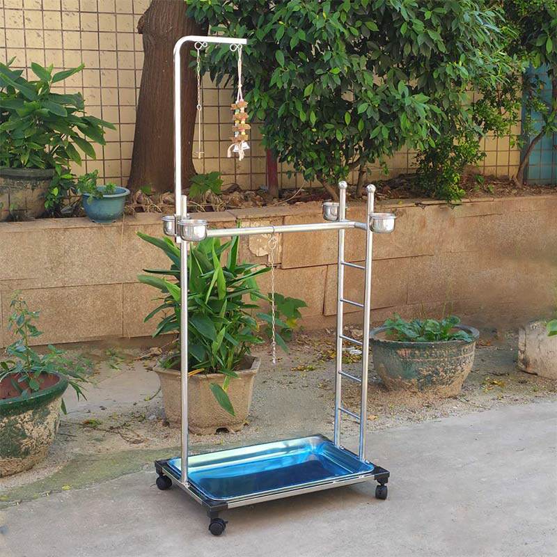 Large Parrot Bird Shelf Stainless Steel Ground Type Parrot Bird Cage Big Number Station Rack Ash Parrot Diamond Station Pole Magic Claw