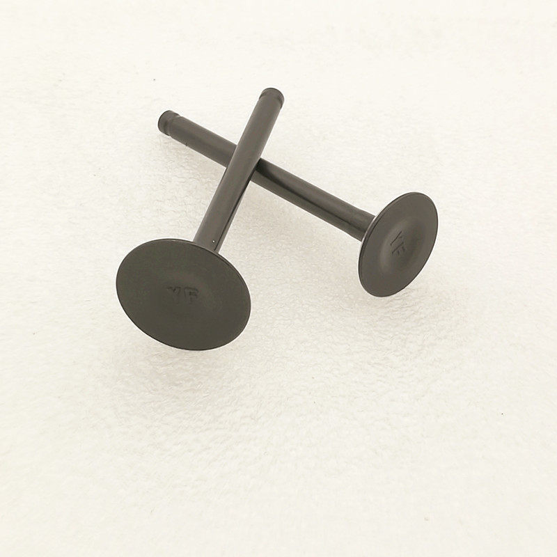Dayang Motorcycle DY110-2E-2F-15-15A-20A-20-28A-52 Valve Intake Valve Exhaust Valve