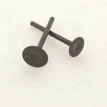 Dayang Motorcycle DY110-2E-2F-15-15A-20A-20-28A-52 valve intake valve exhaust valve