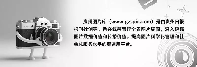 图库建议｜畅销好图（2025年11月23日）