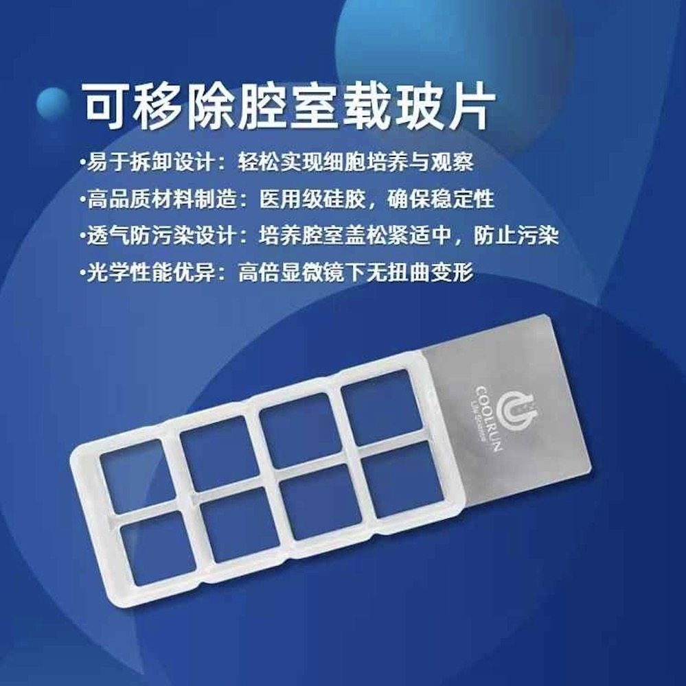 细胞划痕CR212-8可移除腔室载玻片8孔硅胶细胞划痕实验细胞共培养