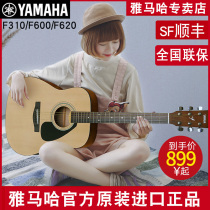 YAMAHA Yamaha f310 folk acoustic guitar beginner entry student male and female electric box 41 inch f600
