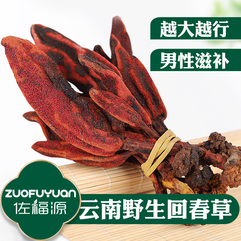 Huichun grass wild Yunnan not old grass Dingtianzhu Huihuangcao grass male nourishing wine water