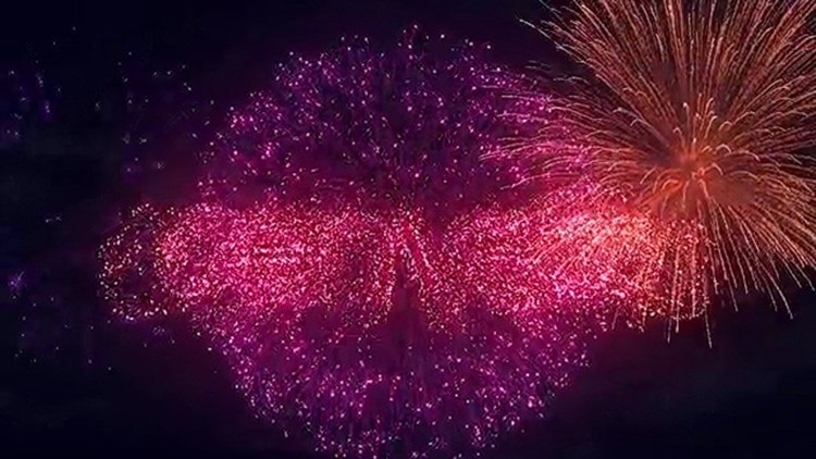 绽放烟花logo特效新年烟火庆祝节日升空爆炸动画AE模板视频素材插图2