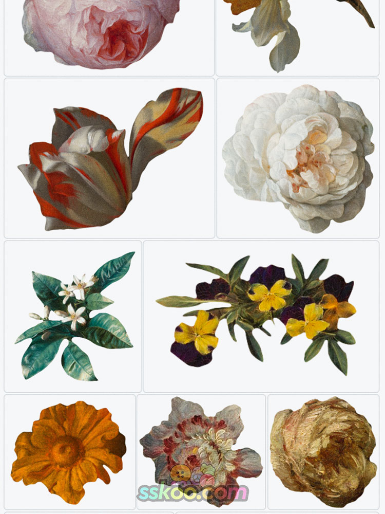 花卉鲜花植物装饰图案拼贴PNG免抠设计素材图片潮流复古油画质感插图2