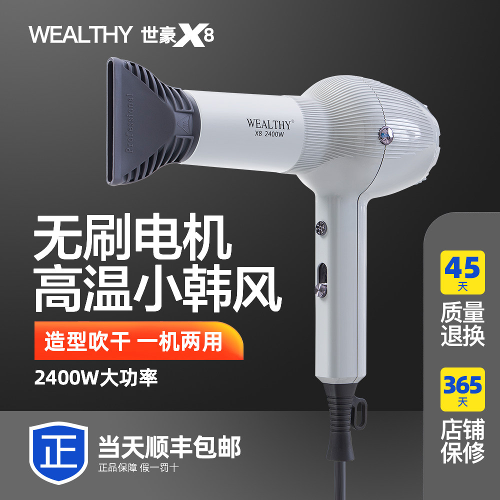 X8 brushless motor hair dryer hair stylist dedicated 2400W high power silent air dryer