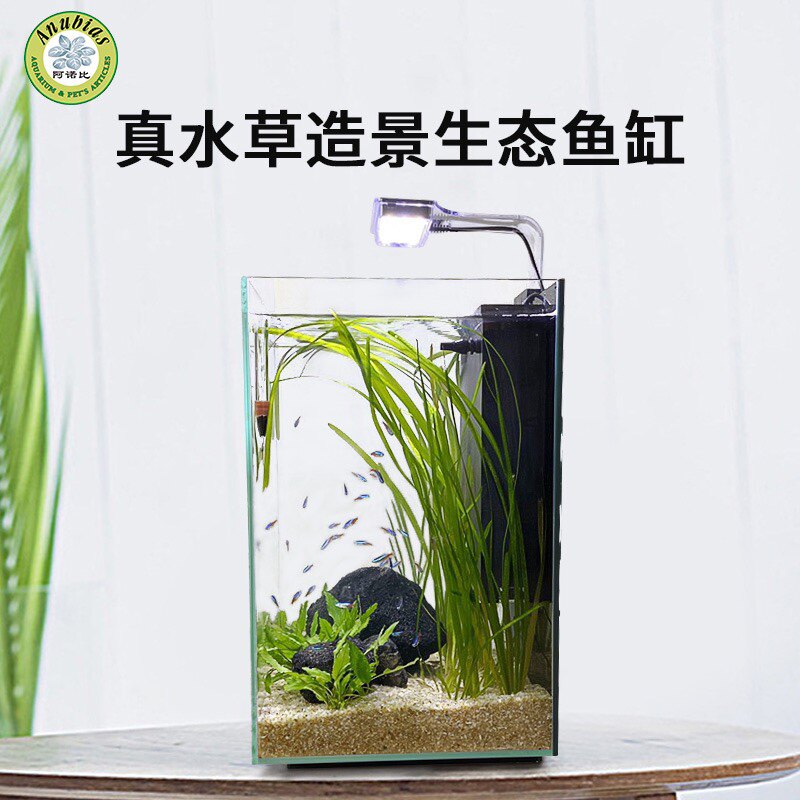 阿諾比真水草超白玻璃自循環過濾小型生態魚缸豎高桌面家用水族箱 阿諾比真水草超白玻璃自循環過濾小型生態魚缸豎高桌面家用水族箱