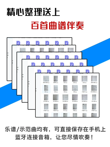 Баомический саксофон с шумом беспроводной микрофон микрофон 120 м.