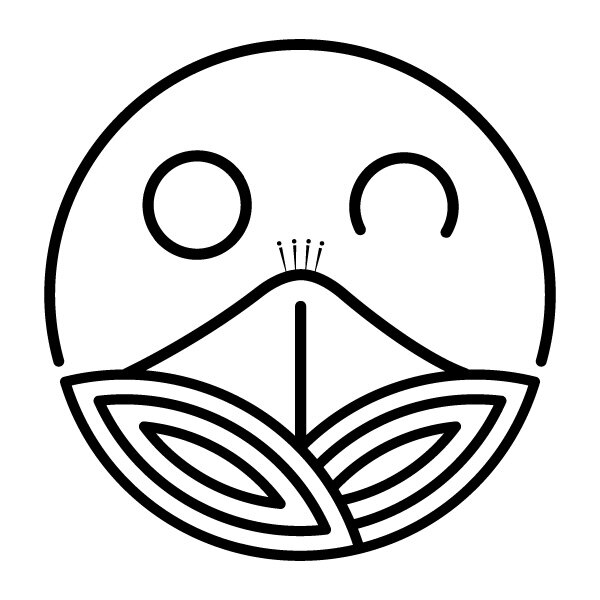 toctouch旗舰店的LOGO