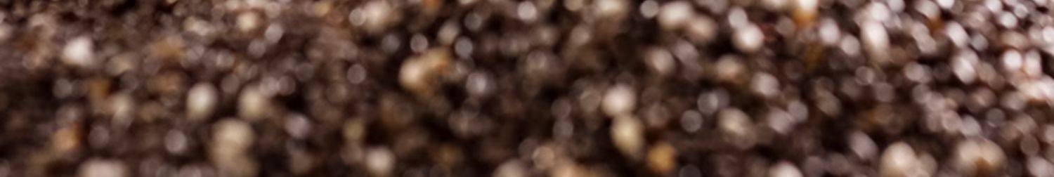 【中國直郵】米惦 奇亞籽椰椰脆片薄脆餅乾 健康點心 72g