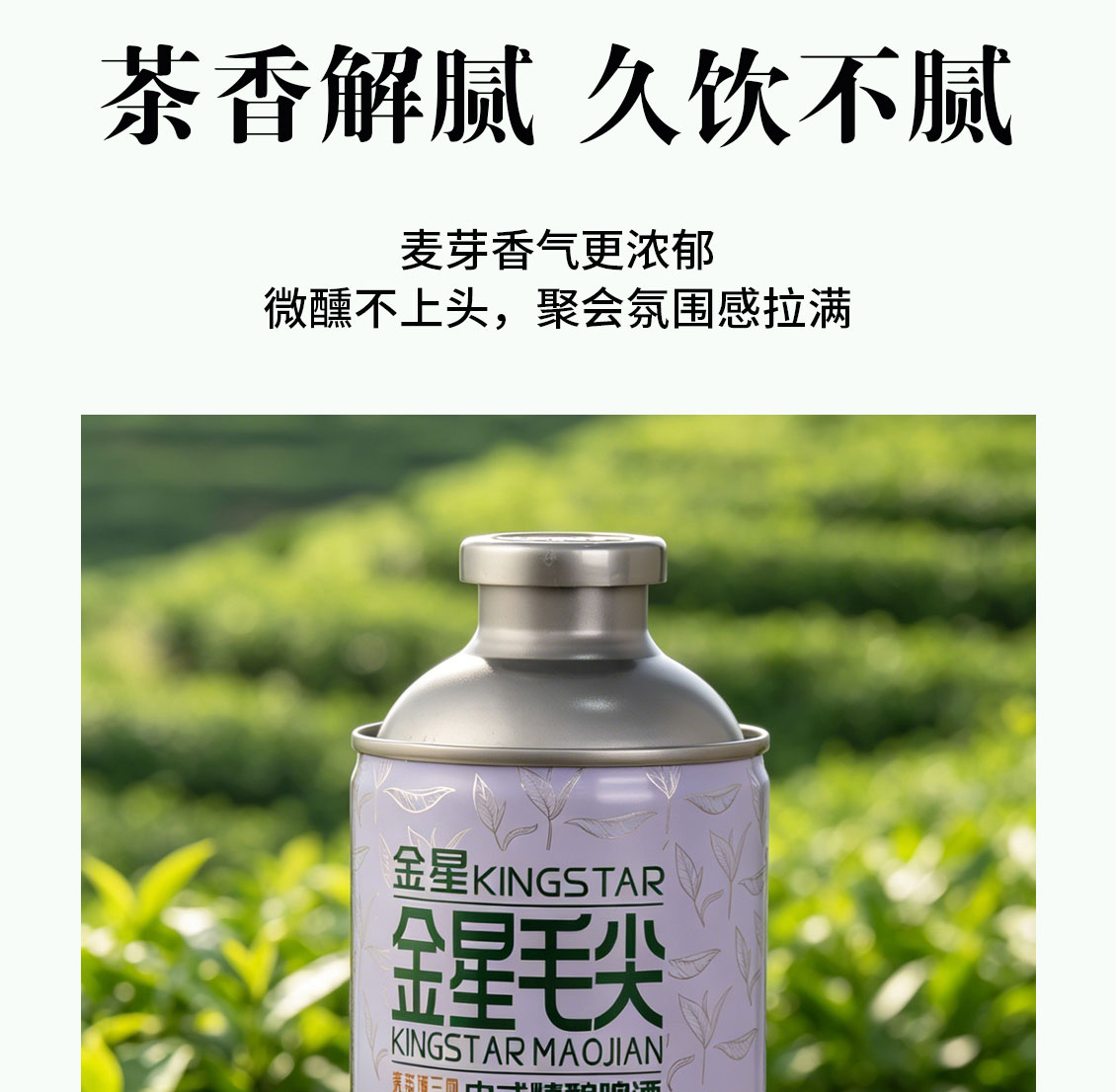 安享好物 安享B级啤酒-金星毛尖啤酒 国标