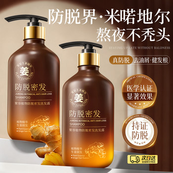 Ginger and Platycladus Arborvitae Leaf Shampoo Prevents Hair Loss, Strengthens Hair, Controls Oil, Adds Volume, Removes Dandruff, Relieves Itching, Thickens Hair, and Promotes Hair Growth for Men and Women, Genuine Brand