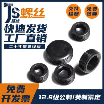 PT1 16-1 2 12 9 grade Imperial throat plug screw Imperial plug stop screw screw bolt