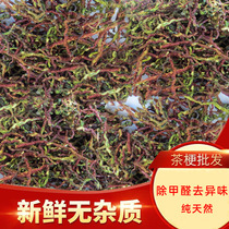 (Tea roasting cage matching) roasted tea device 2021 fresh tea stems in bulk 500g incense new house deodorization decoration formaldehyde