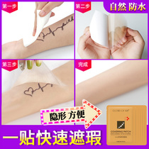 Tattoo cover Divine Scar Invisible Stickler Skin Patch Meat Color Waterproof Fake Skin Flawless Paste Shelter Tire