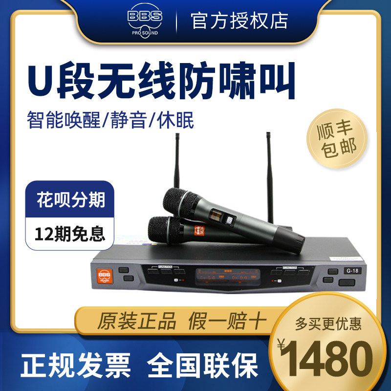 BBS G18 One drag two wireless microphone home stage performance KTV special microphone