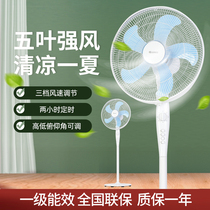 Gree floor fan household electric fan shaking head 3-speed vertical fan silent timing reservation first level FD-4053h5