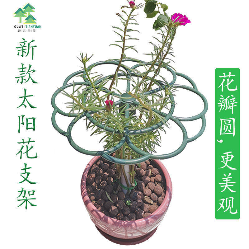 Sunflower Shelf Stick Candy Bracket Flowers Shelf Crab Claw Lan Grafted Leaf Fairy Gold Ge Single Multilayer Support Climbing Vine Styling