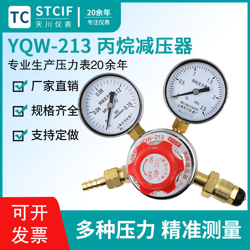 Shanghai Tianchuan YQW-213 propane pressure reducer pressure regulator valve manostat gas steel bottle propane pressure reducing pressure pressure