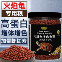 Flame Tortoise Feed Color Yellow Rim Turtle Red Noodle Egg Tortoise East Brocade Turtle Map Tortoise Special Turtle Hair Color Turtle Grain