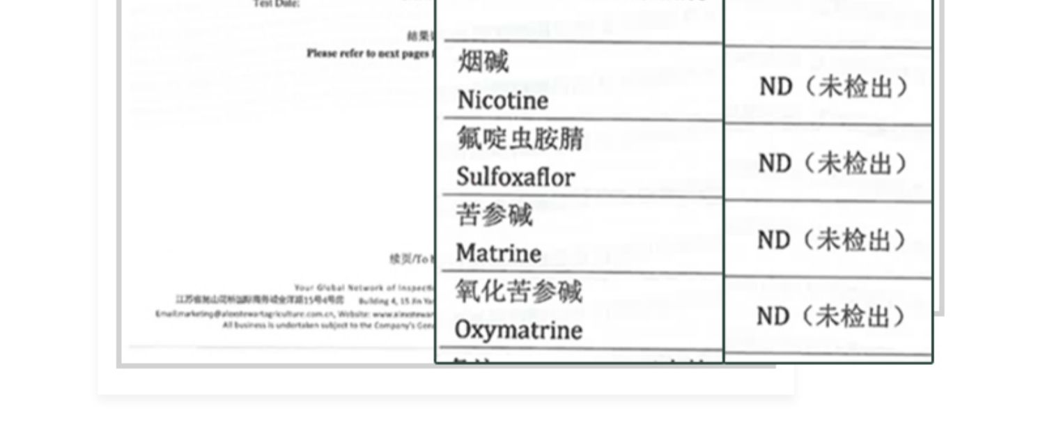 宁夏头茬有机枸杞正宗大颗粒