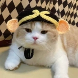 Свинья восемь колец кошачья голова Ганс Симпатичная паоретная шляпа взаимная шляпа делает собаку Голова собаки постоянное украшение Барри Тедди