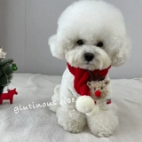 Рождественский кот шарф паттер