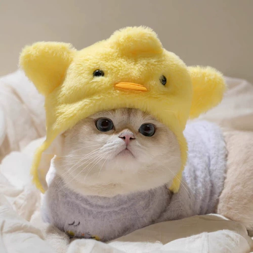 Украшение шляпы для домашних животных, повязка на голову в виде знаменитости, плюшевая повязка на голову для щенка и кошки, милый головной убор для фотосессии, забавный головной убор Бишон фризе