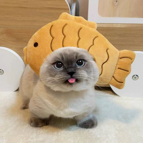 Украшение шляпы для домашних животных, повязка на голову в виде знаменитости, плюшевая повязка на голову для щенка и кошки, милый головной убор для фотосессии, забавный головной убор Бишон фризе