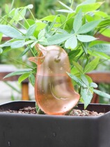 Solve the trouble of growing flowers when going out. Bird automatic watering device flower pot dripper drip irrigation equipment for watering flowers and grass on business trips.