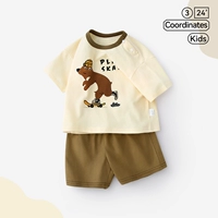 Хаки медведь