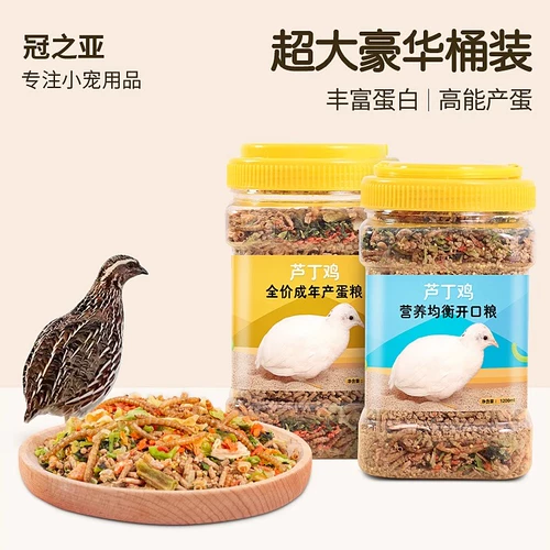 Разрушение куриных питательных яиц и зернового рафтинга хлеб сушено