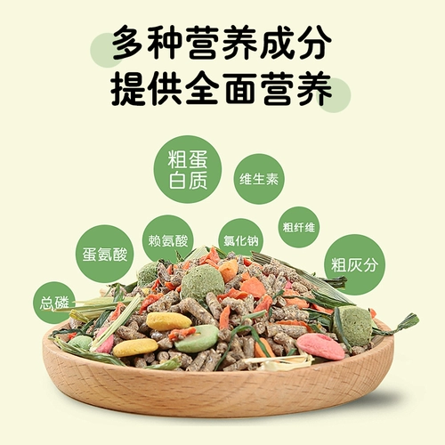 Рыжая кролика кролика питомец молодые кролики специальные частицы зерно, голландская свинина, дельфин и кроличьи корм