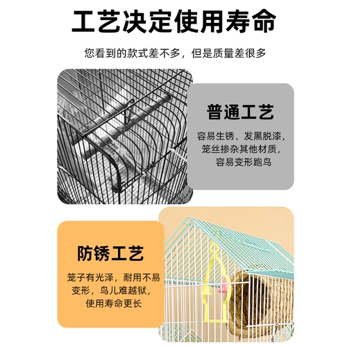 Маленькая птичья клетка пион жемчужная птица птицы и птицы вилла металлическая крыша декоративная клетка