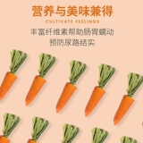 Гуаньзия крыса Могана Морковь Золотой шелковый медведь