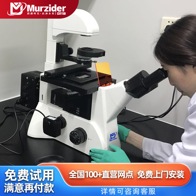 科研级三目倒置荧光生物显微镜看培养皿活细胞微生物医学MSD530