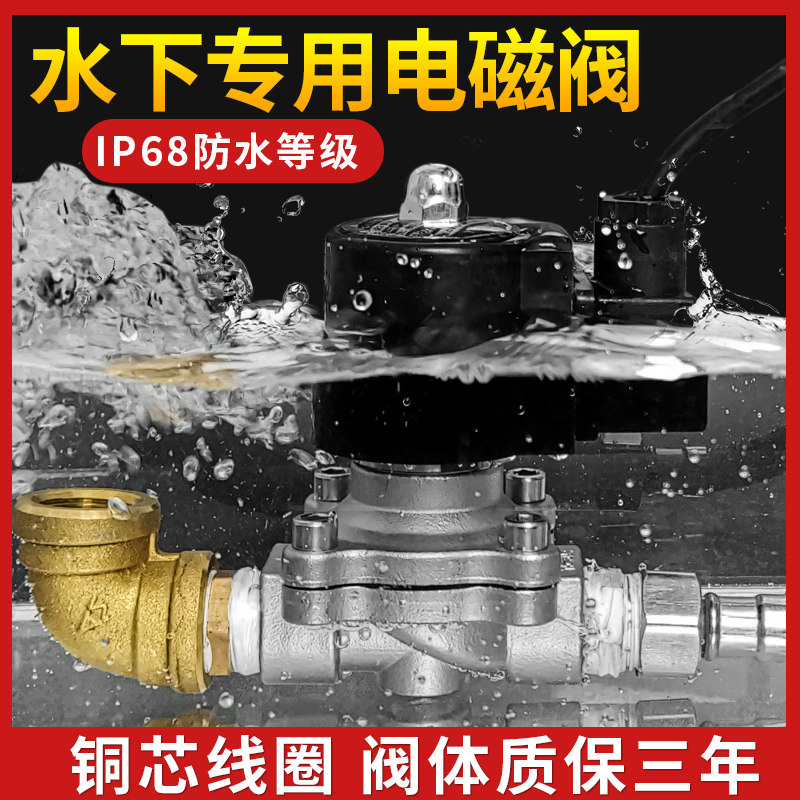 Stainless steel waterproof solenoid valve underwater fountain irrigation ground buried electronic control valve switch valve for 6 minutes 220v24V