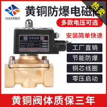 All-copper explosion-proof solenoid valve Gas gas mining water electronic control normally closed regular explosion-proof certificate 220V24V
