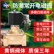 Normally open solenoid valve water valve air valve copper valve body outdoor waterproof 4 points 6 points 1 inch AC220VDC24V Yueer manufacturer