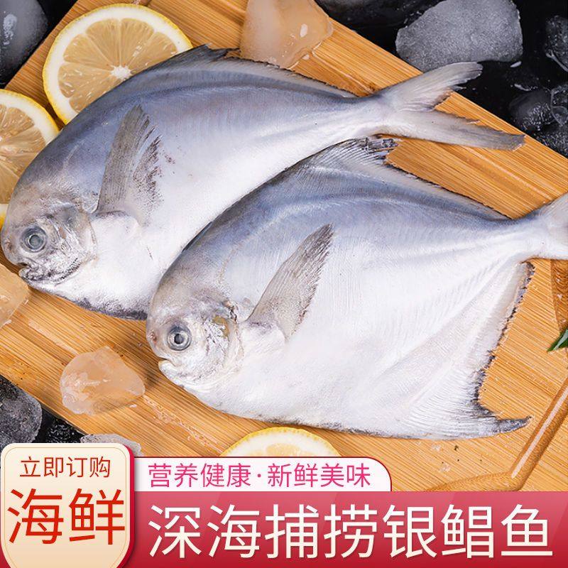 顺丰新鲜银鲳鱼大号白鲳鱼平鱼昌鱼海鲜水产鲜活鱼类批发冷冻生鲜怎么选?-鲳鱼-淘宝好物网